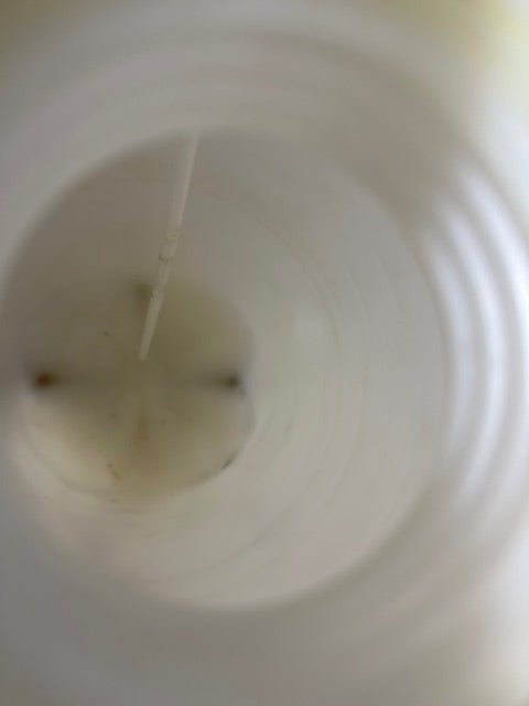 FLAVORBURST 3 GALLON SAN 740 SANITIZER TANK - Second Life - Equipment - collection_name