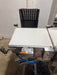 2016 ANRITSU INFIVIS SSV SERIES CHECKWEIGHER 6G - 3000G CONVEYOR KICK OFF STATION - Second Life - Equipment - collection_name