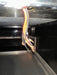 "HENNY PENNY MPB - 107" 208V 7 WELLS DUAL SERVICE HOT FOOD DISPLAY CASE,95.5"W - Second Life - Equipment - collection_name