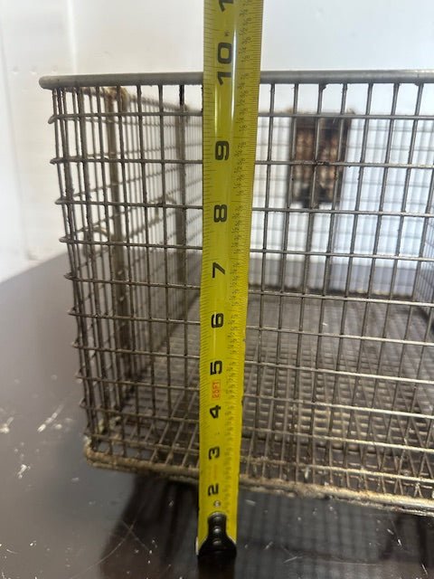 "HENNY PENNY(OEM)"COMMERCIAL FRYING BASKET FOR ELECTRIC FRYER - Second Life - Equipment - collection_name