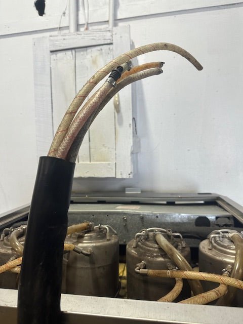 "TAYLOR 349 - 27" W COOLED 4FLAVOUR CARBONATED FROZEN BEVERAGE SLUSHIE MACHINE,1PH - Second Life - Equipment - collection_name