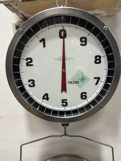 " Toledo 2110" 14" Dial Double Sided 30 lb capacity Hanging Scale with basket - Second Life - Equipment - collection_name