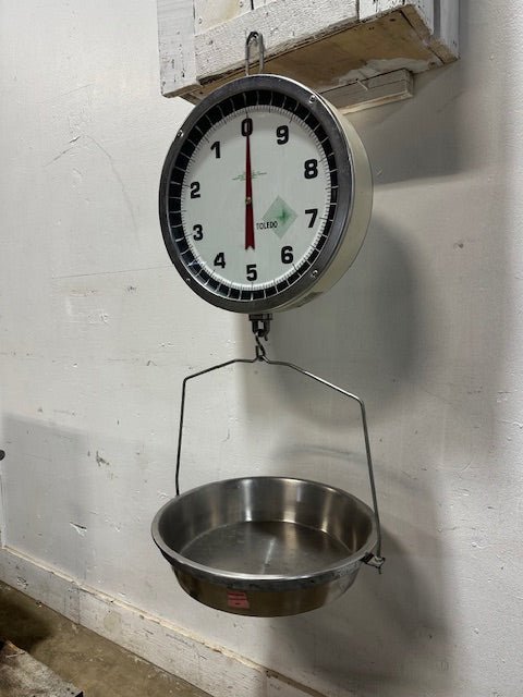 " Toledo 2110" 14" Dial Double Sided 30 lb capacity Hanging Scale with basket - Second Life - Equipment - collection_name